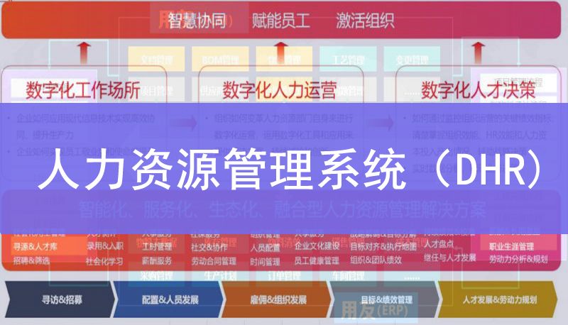 人力資源組織管理系統(tǒng)（DHR）